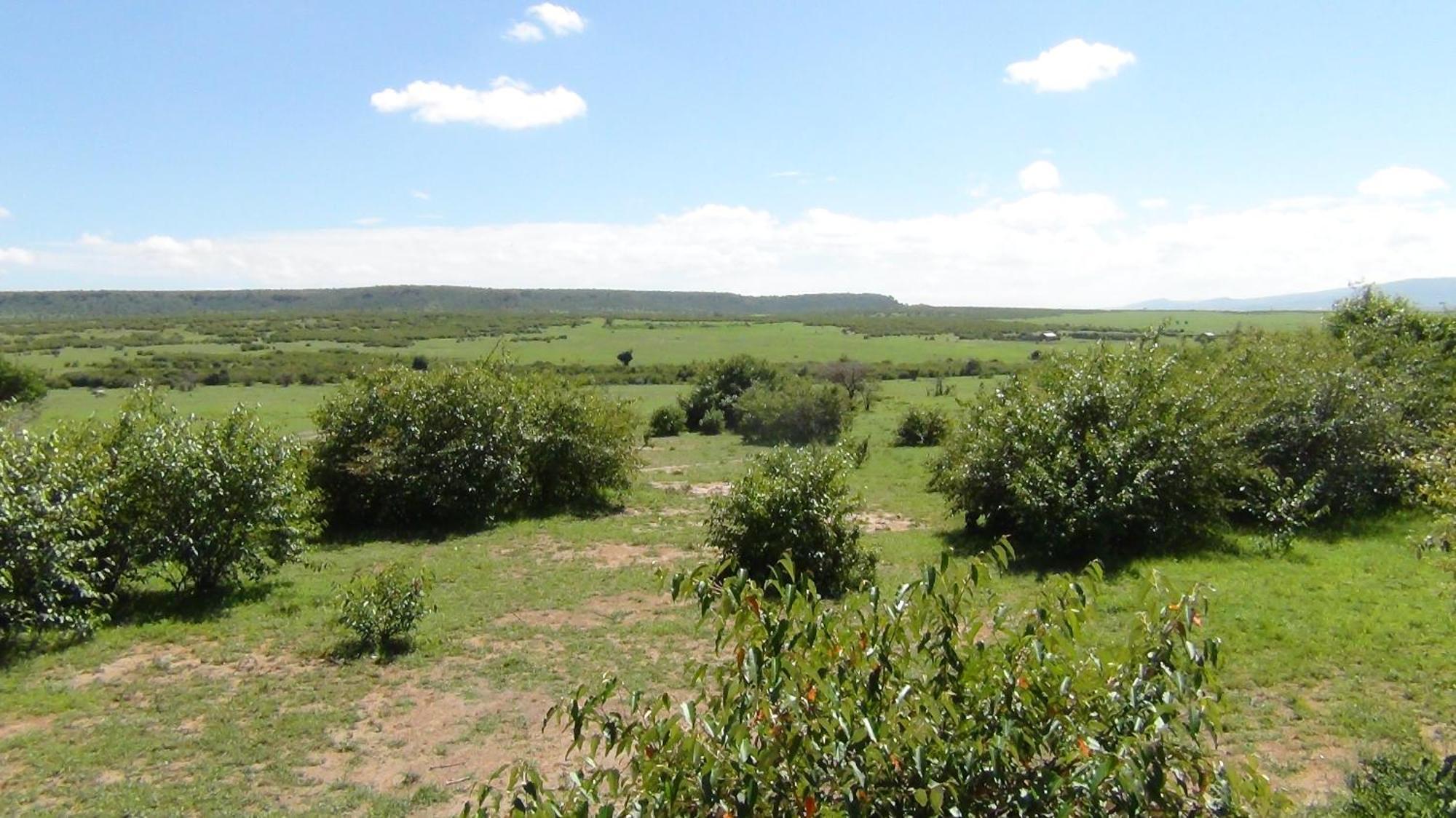 Narasha Homestay - Maasai Mara Talek Værelse billede