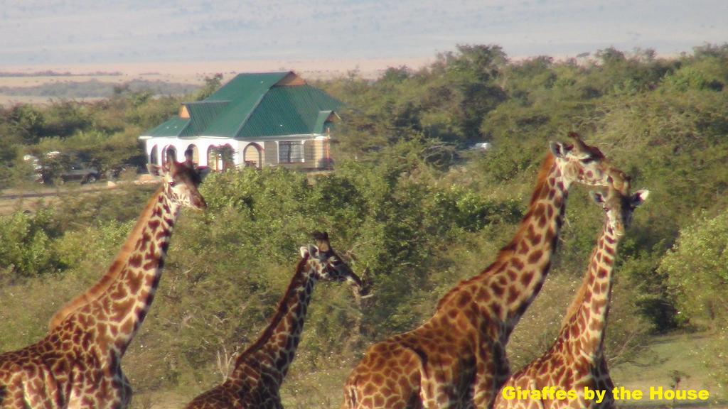 Narasha Homestay - Maasai Mara Talek Eksteriør billede