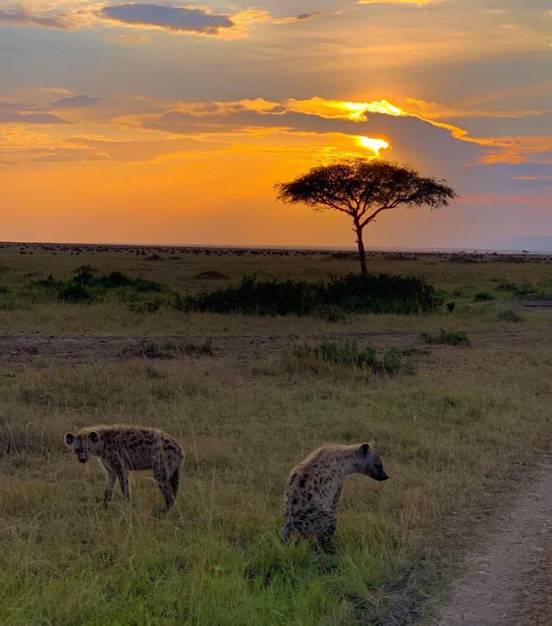 Narasha Homestay - Maasai Mara Talek Eksteriør billede